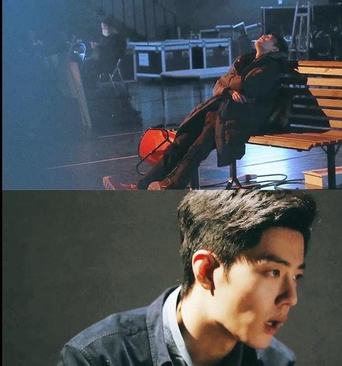 圈内爆料肖战的专家,圈内专家深度剖析其魅力与影响力